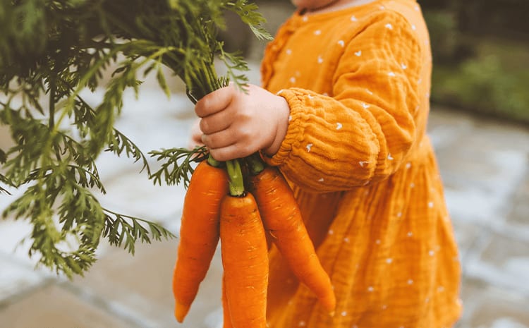 child holding a bundle of carrots