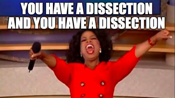 meme dissection