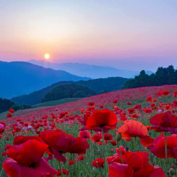 landscape-photography_1641-1