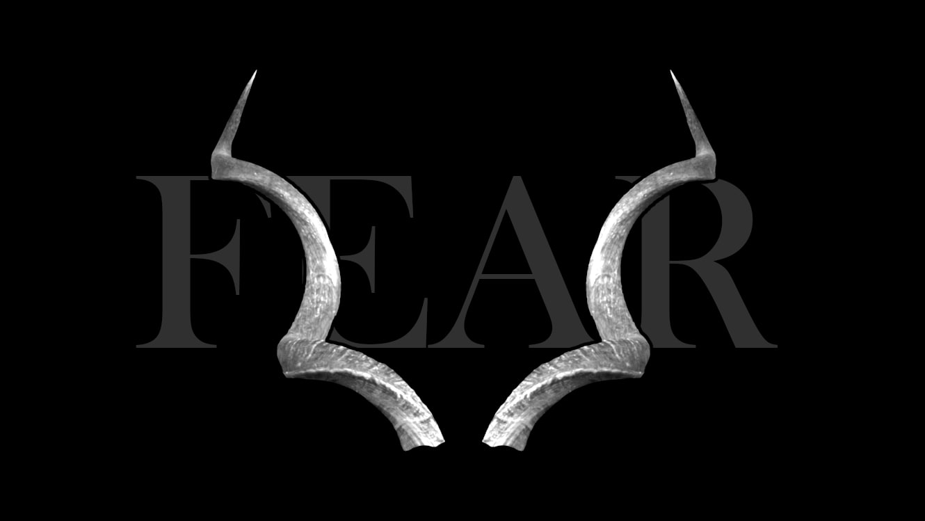 Fear