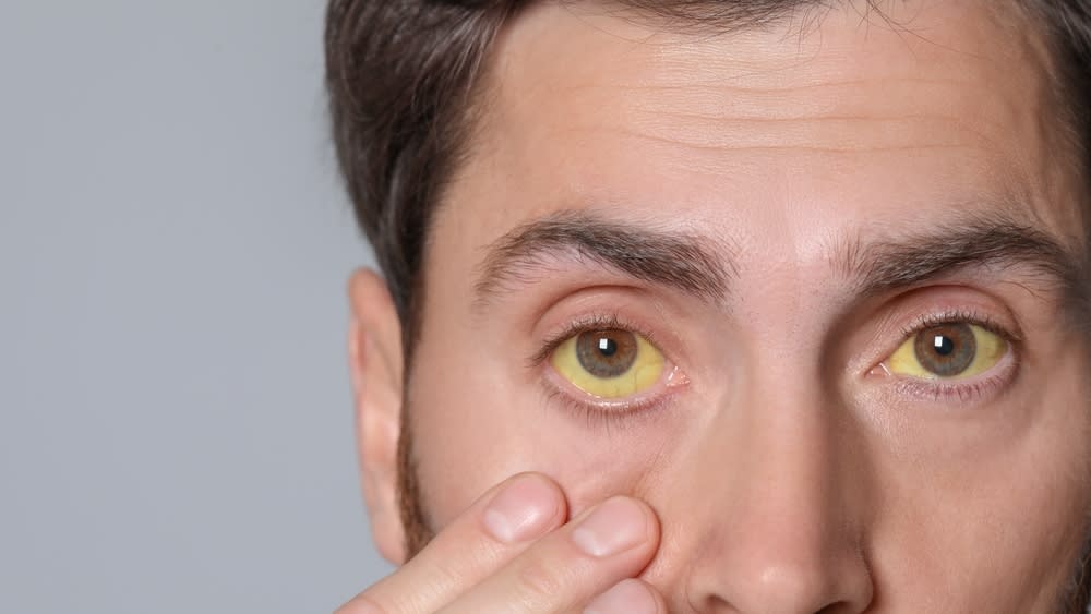 shutterstock_2297213429