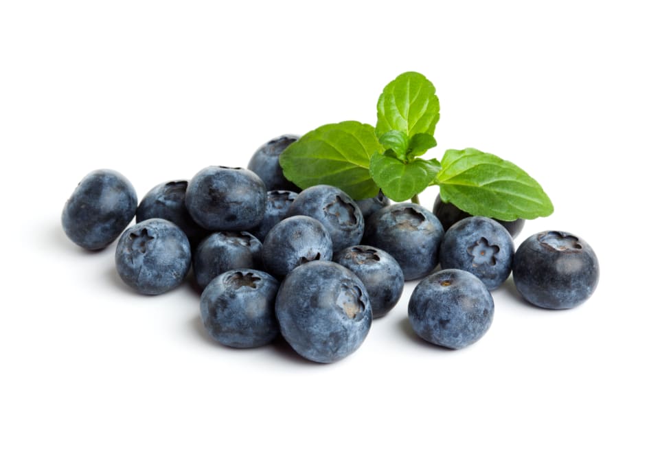 blueberries_blog