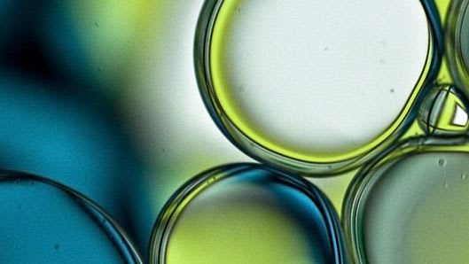 Bubbles_by_Mandy_Brown_Photography