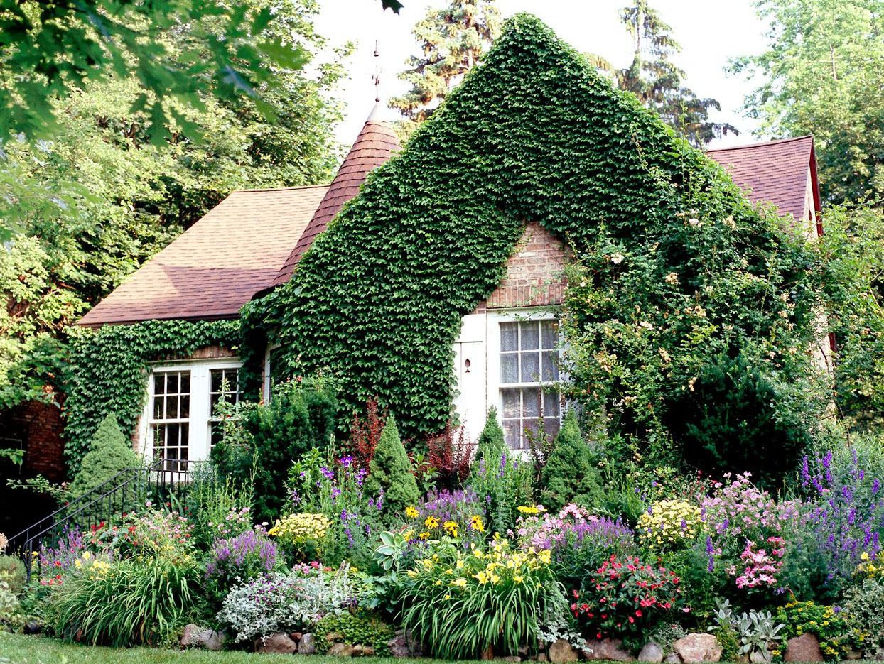 ivy-covered-english-style-cottage-colorful-garden-grass-10057581772583b5dbc6854ddea893b9534615c0b7d5db86f-185954249de94bb98dad2c96a071027f