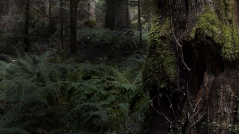 Screenshot 2025-02-06 at 13