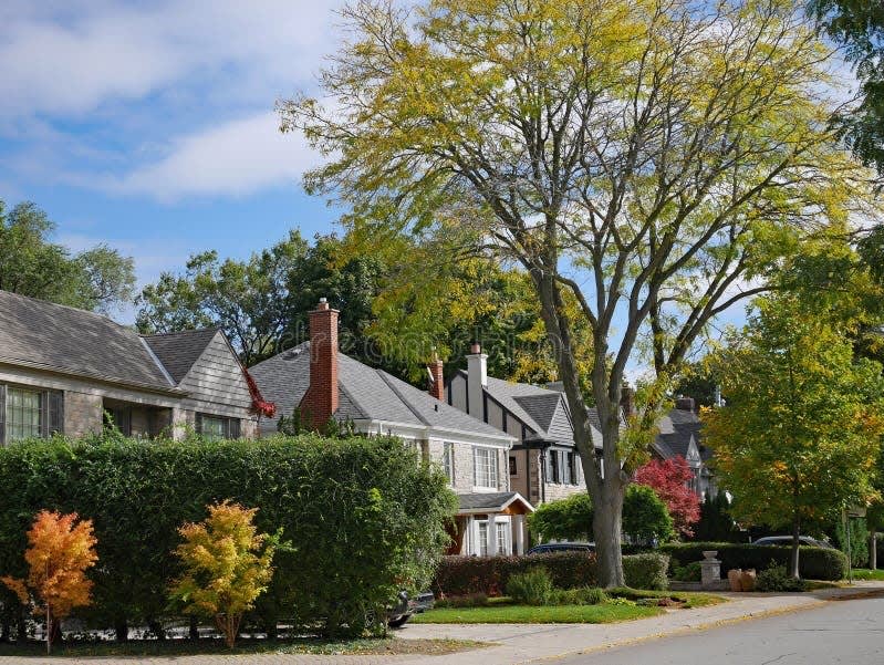 tree-lined-suburban-street-traditional-two-story-detached-houses-198691994