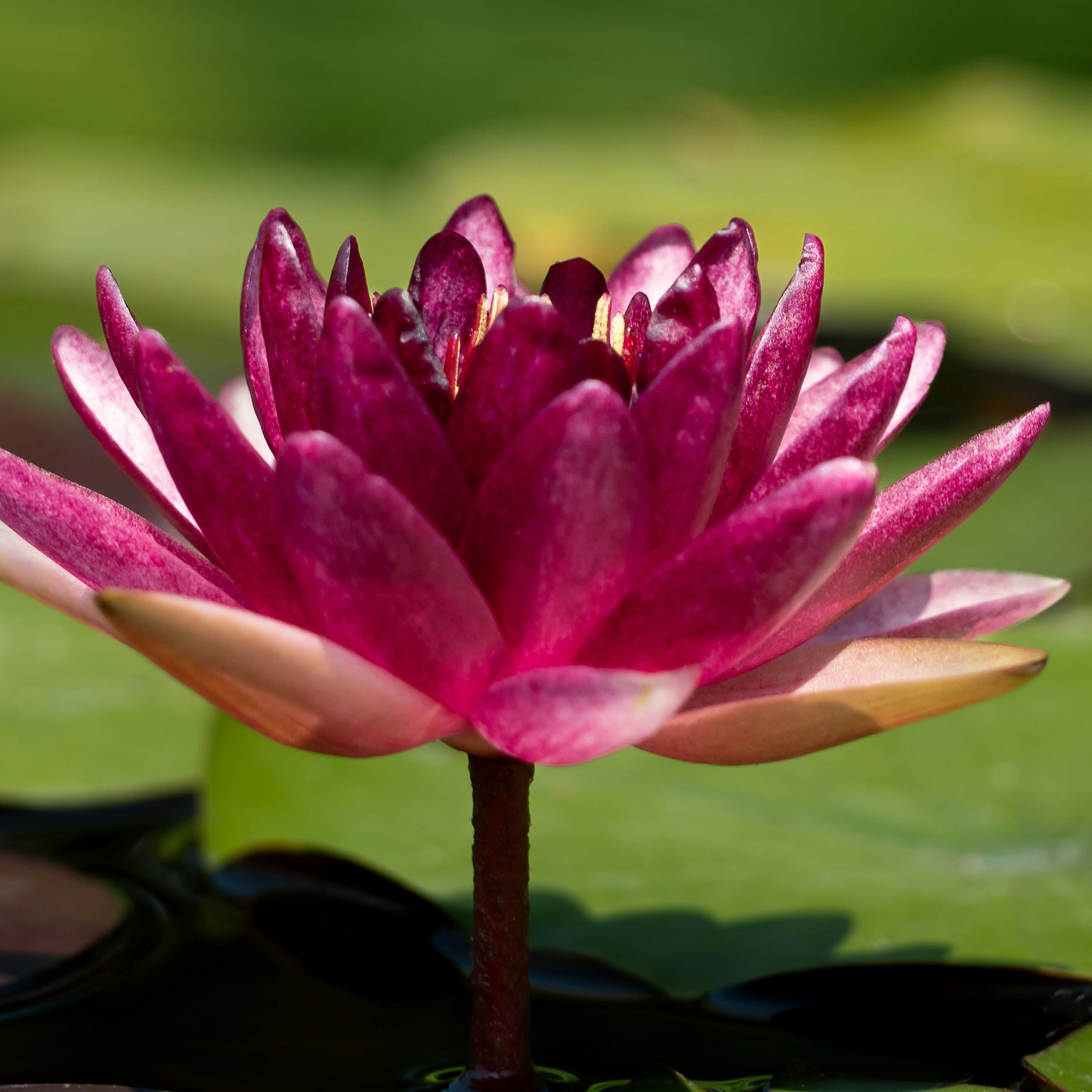 photo-1757952467500-9ba546e7eddf