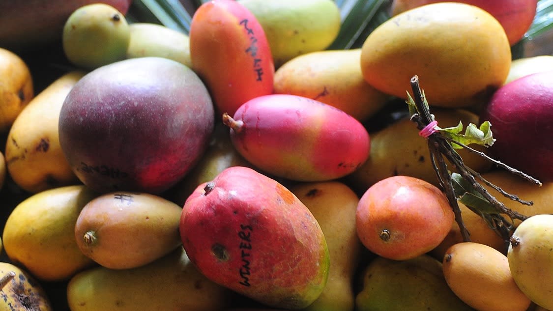 GettyImages-103294901