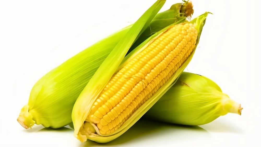 shutterstock_2526671681