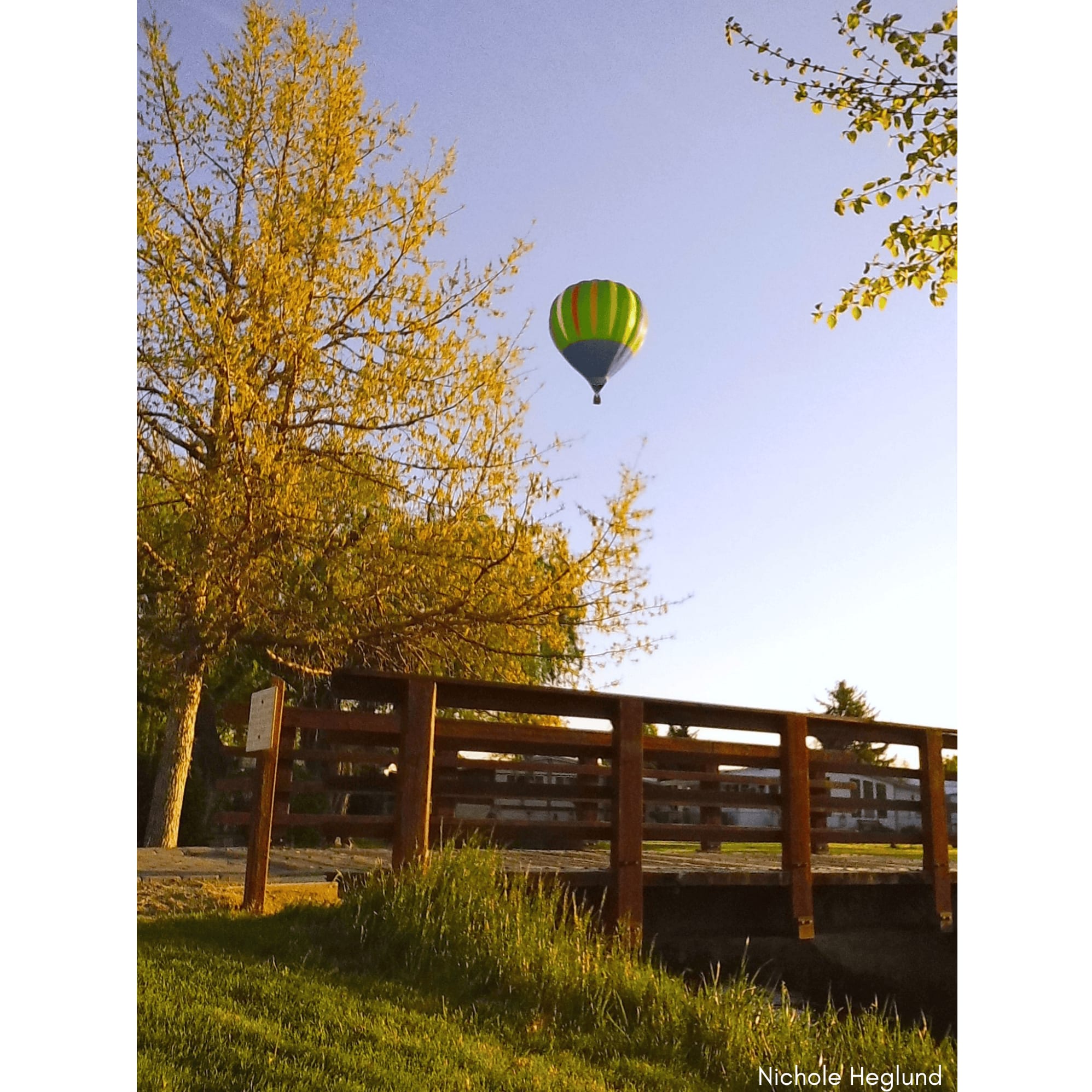 HAFH 2025 Photo Contest (11)
