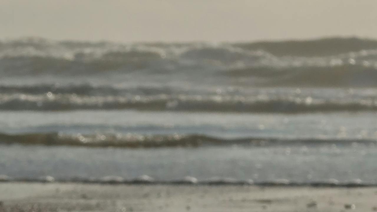 Coercive control Eggshells cover