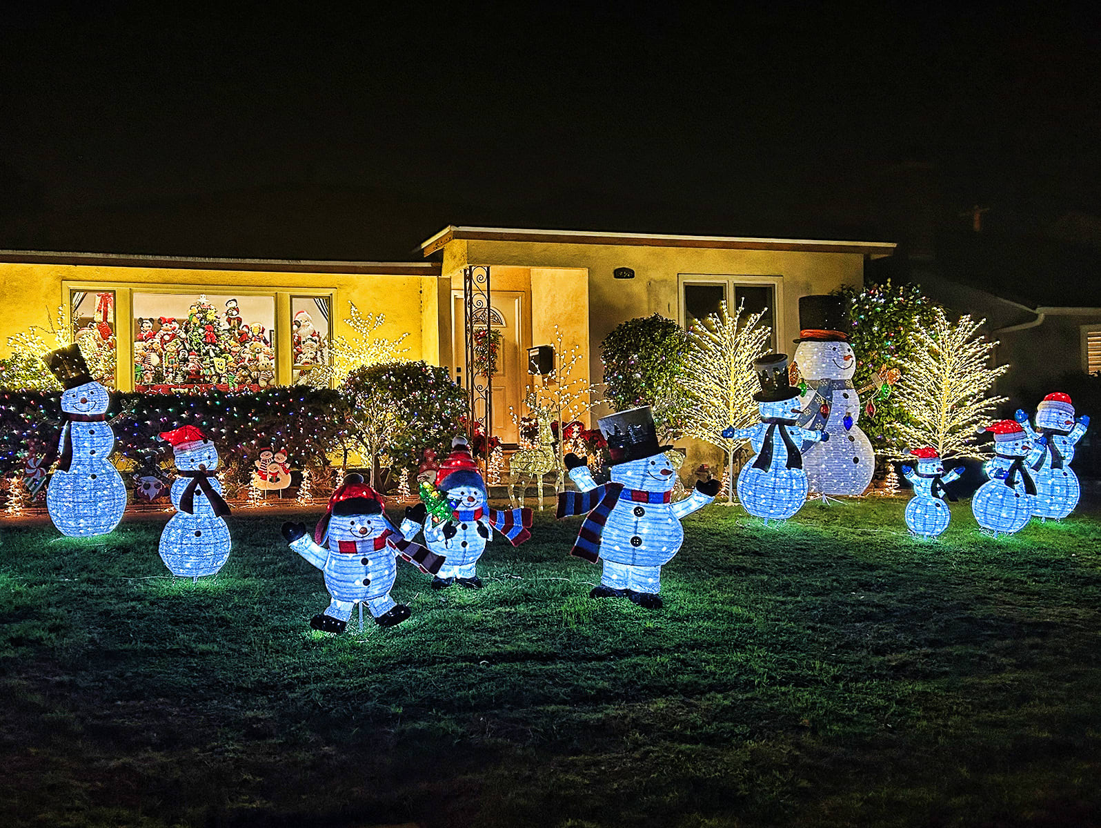 6426_Firebrand_ballot_RIMG_5203