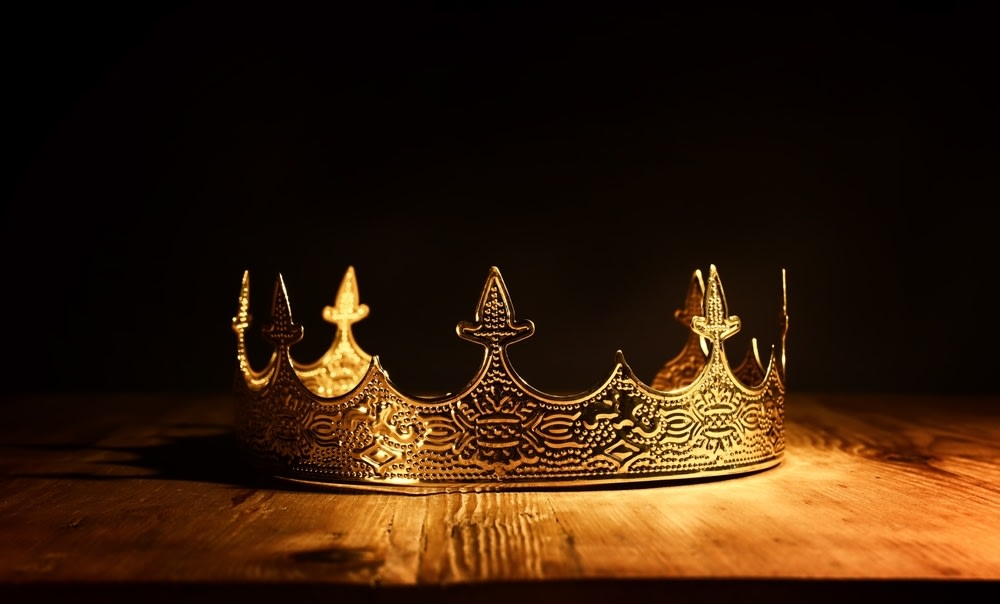 WhatsApp Image 2026-02-19 at 14