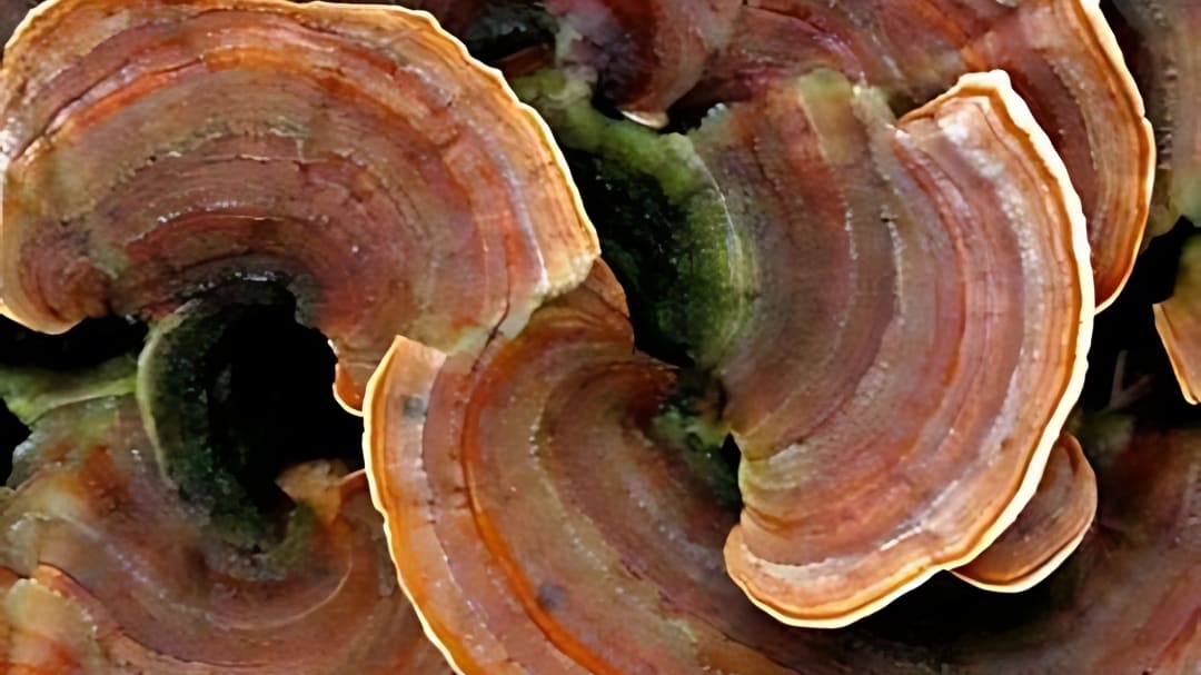 160