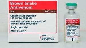 antivenom-brown-snake
