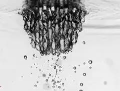 bubble formation
