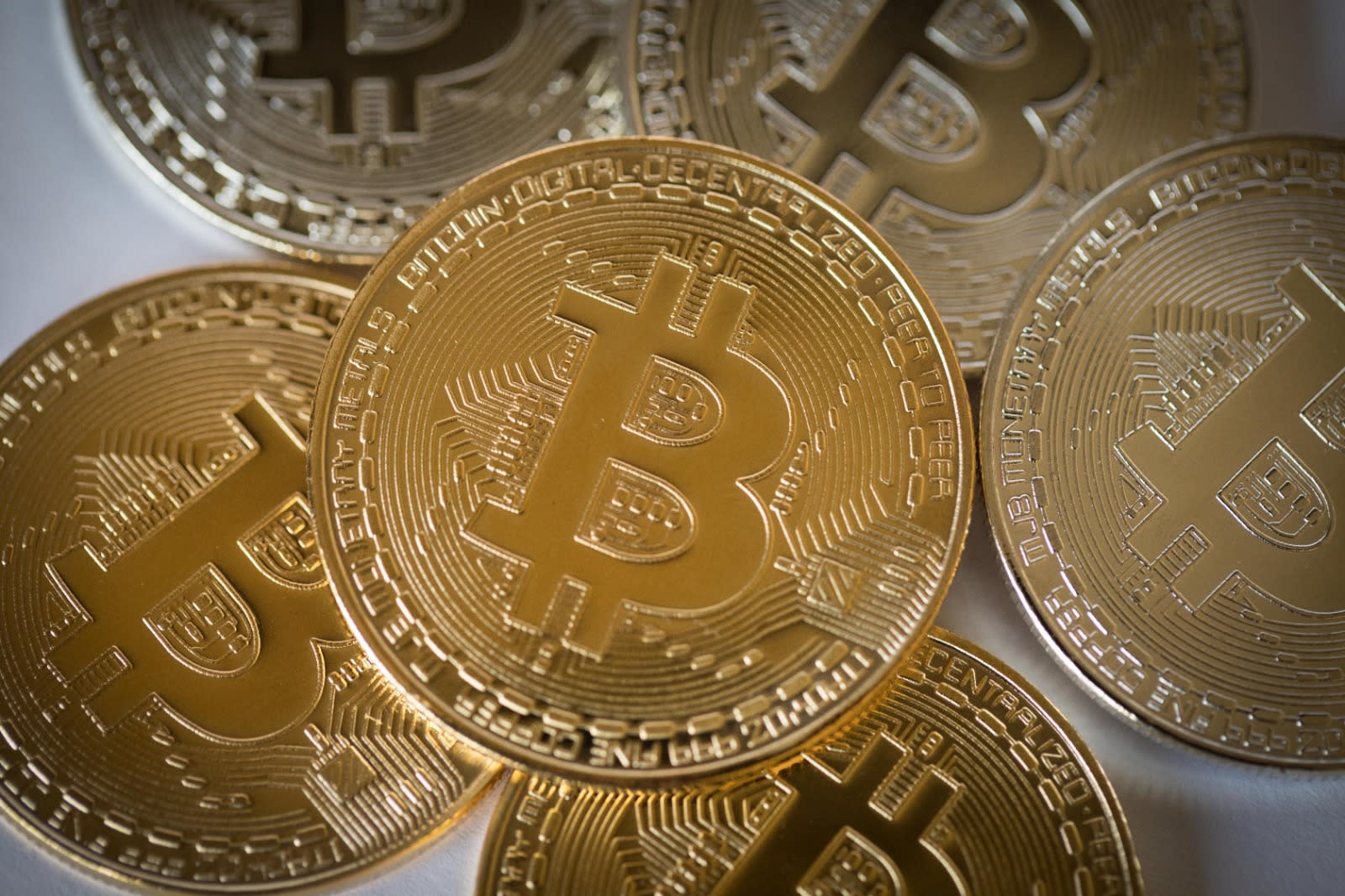 WhatsApp Image 2026-02-19 at 14