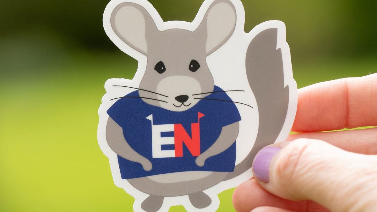 ENSticker-chinch