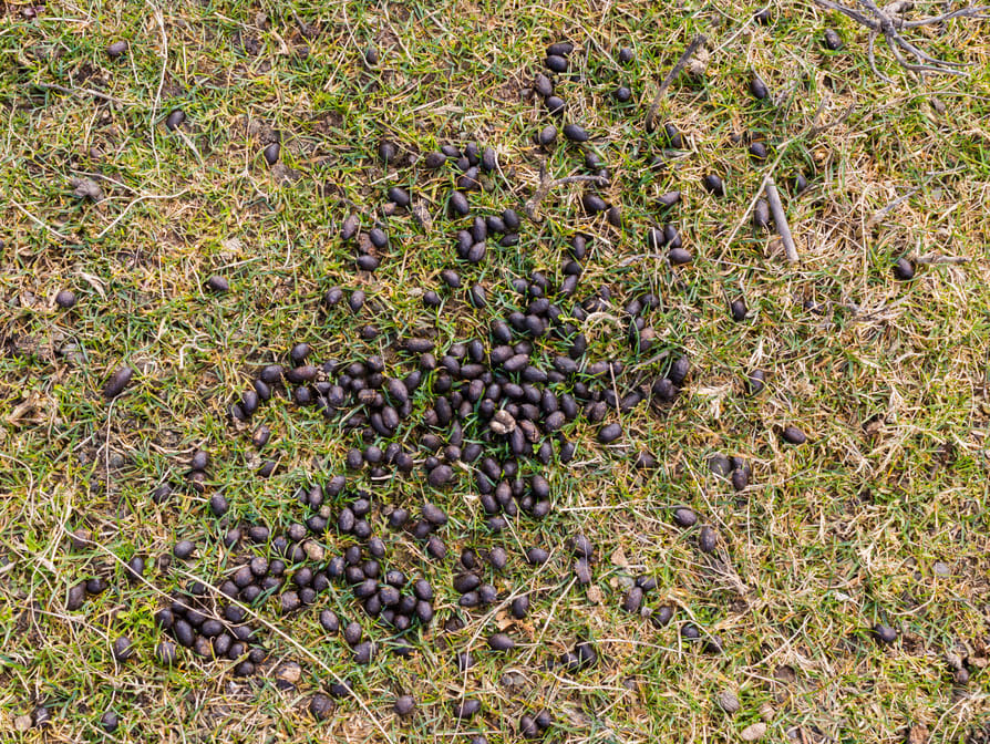 1000_F_462874296_6120jtXdNYU2f1Ebg5ceyQL1UKmvqX9Y