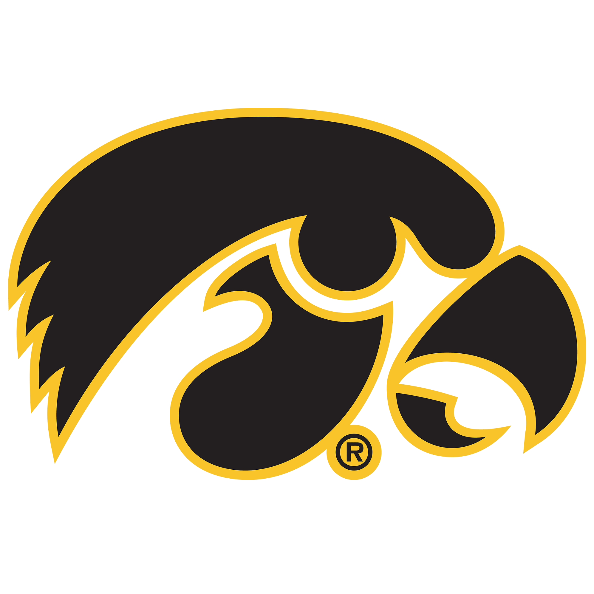 IAU-DA021DC-TigerHawkSingleLayerDimensionalICON_2000x