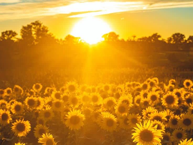 c67d0c399598f109911364f567e8095f