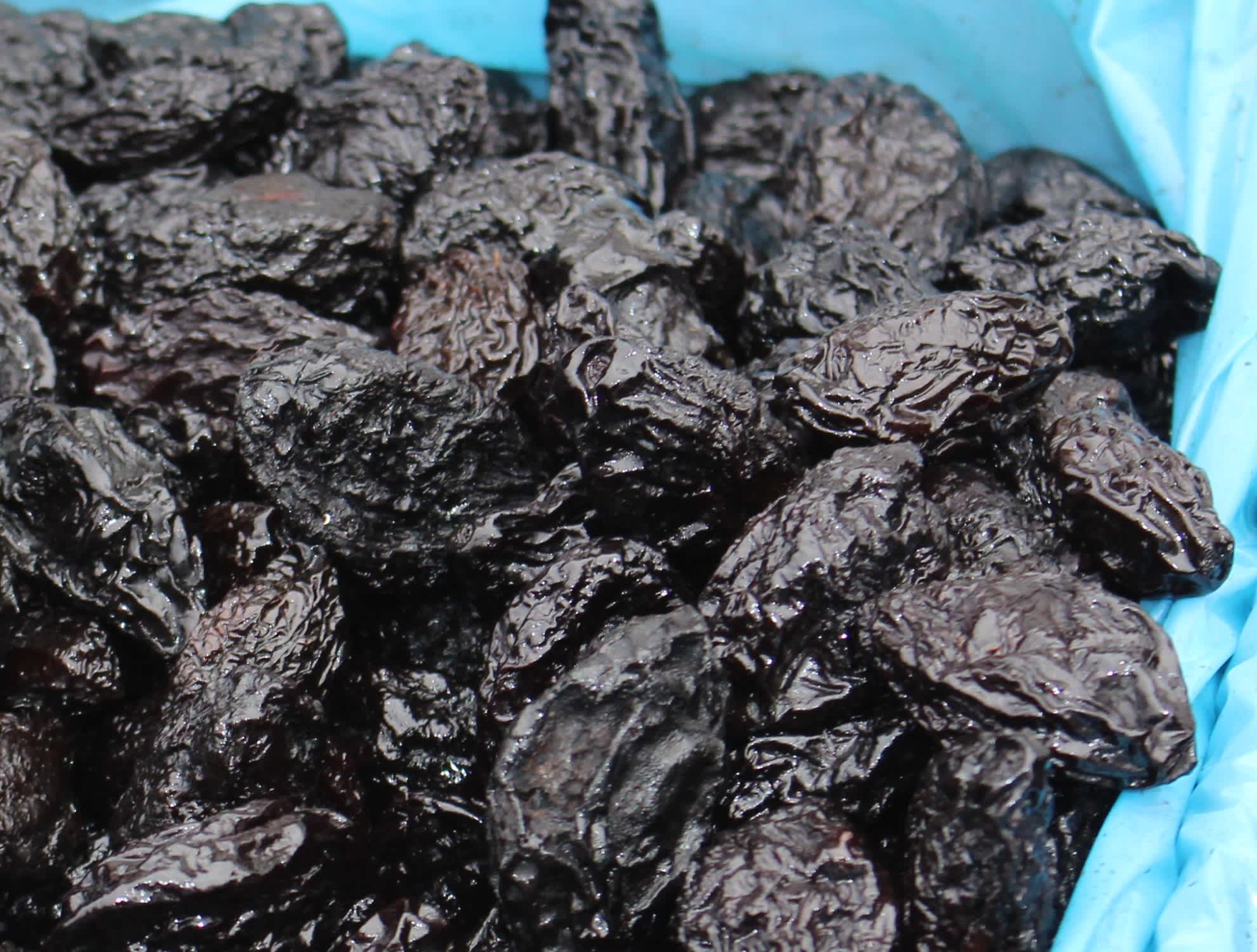 What kind of tree do prunes come from? On This Date In History