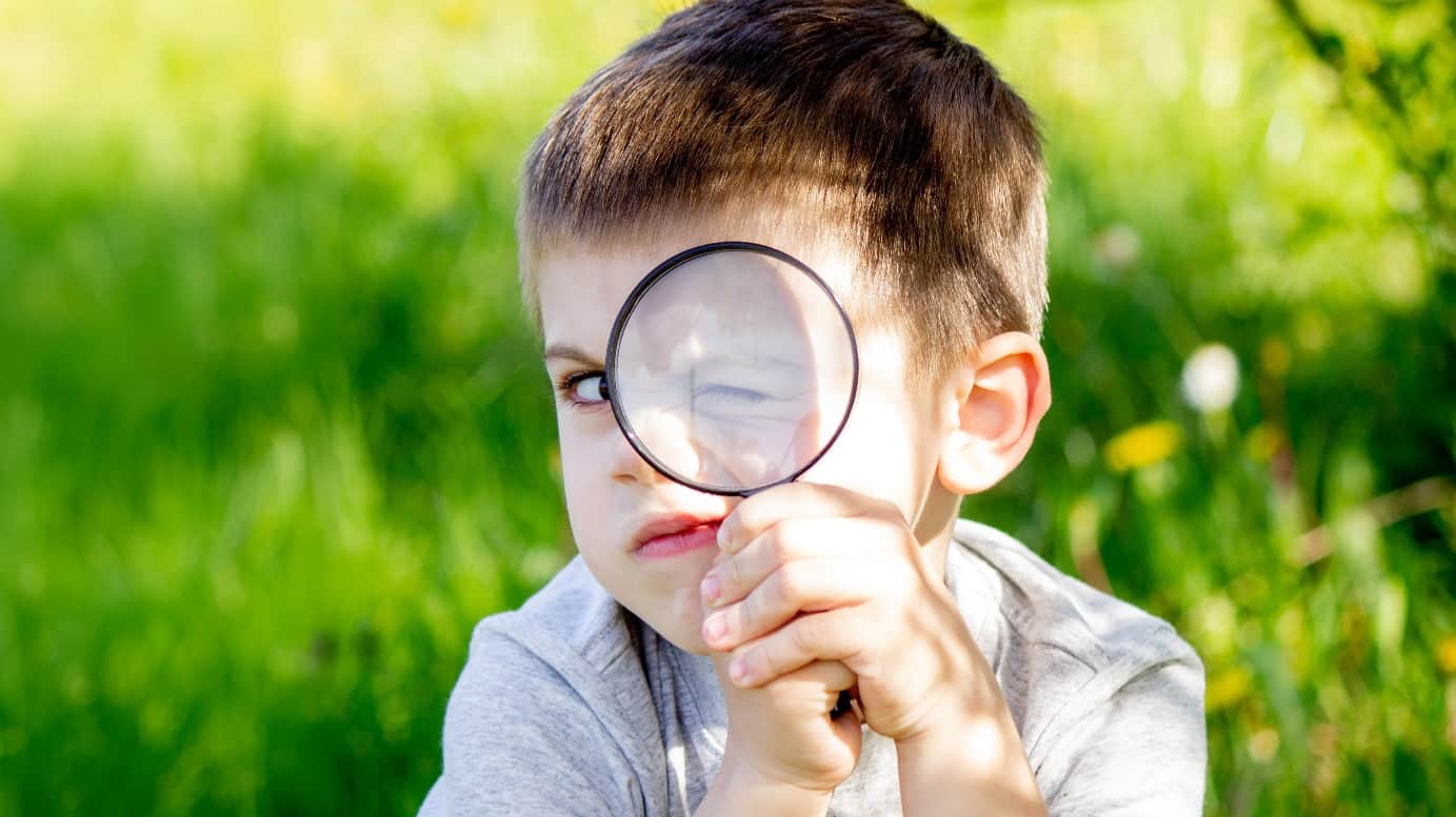 shutterstock_2510014445
