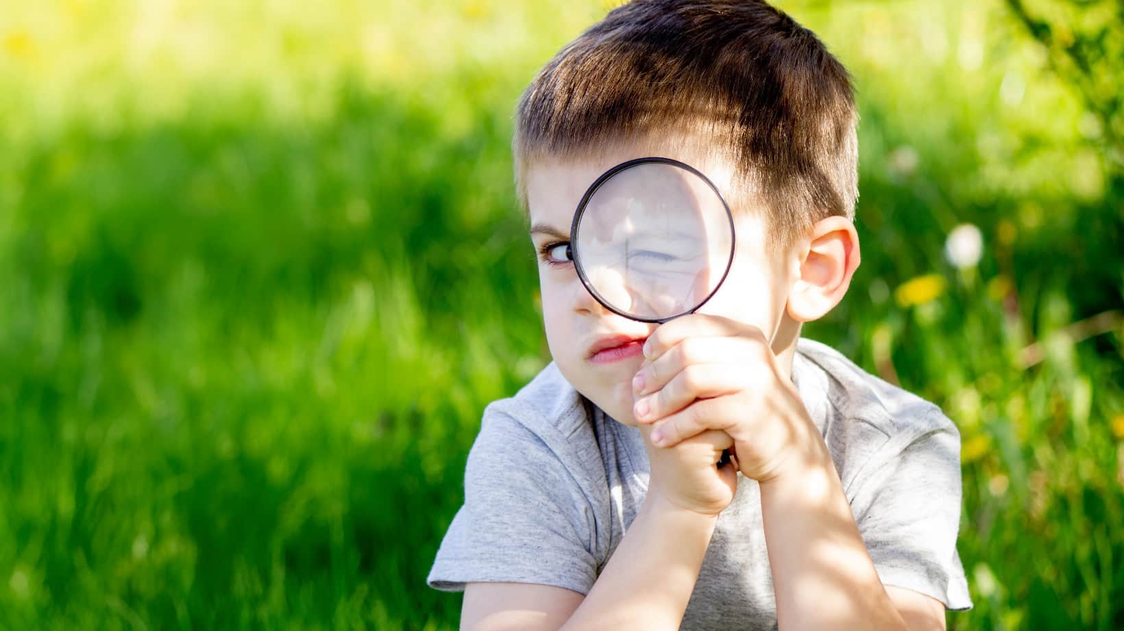 shutterstock_2510014445