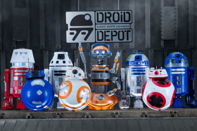 Should You Build A 100 Droid In Star Wars Land
