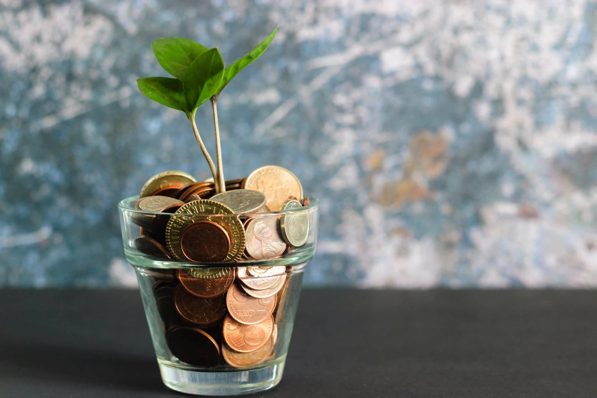 Plant growing out of a jar of coins