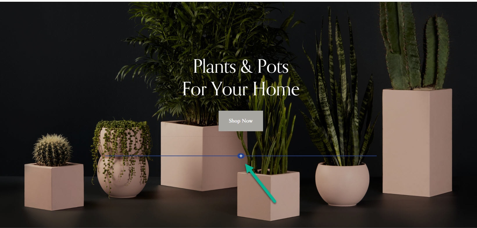 Add a block to your Squarespace site
