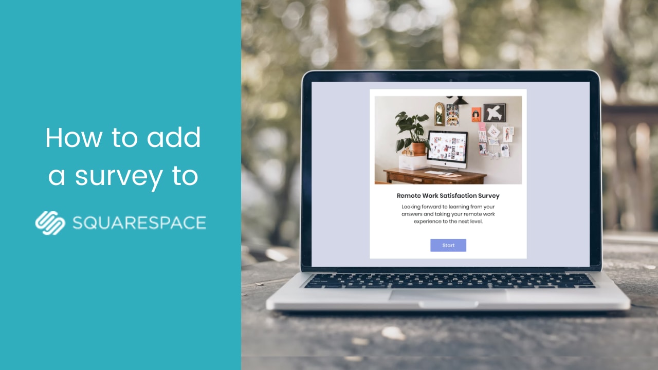 Squarespace Survey